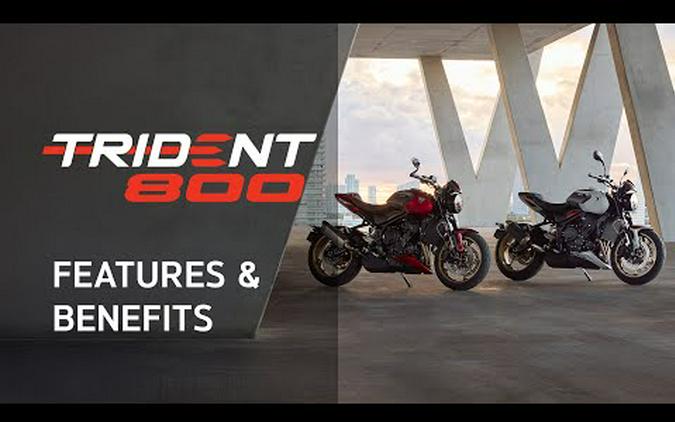 2026 Triumph Trident 800