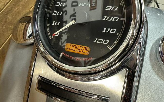 2019 Harley-Davidson® Road King® Barracuda Silver FLHR