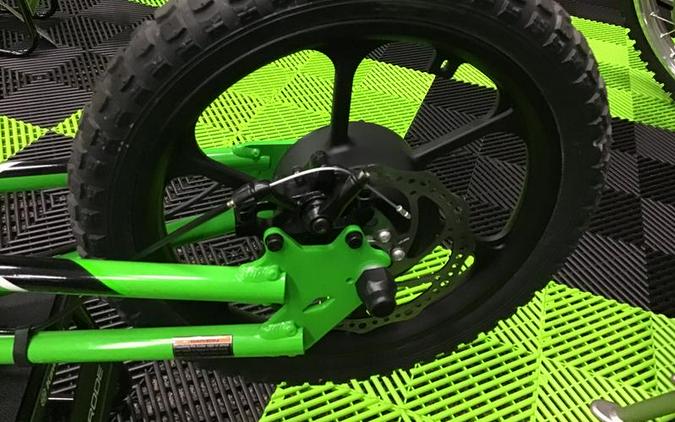 2023 Kawasaki Elektrode™