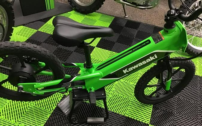 2023 Kawasaki Elektrode™