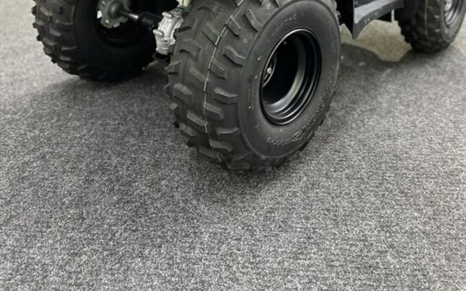 2025 Honda® FourTrax Recon ES