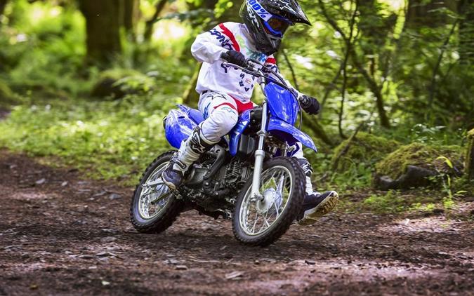 2026 Yamaha Motor Corp., USA TT-R110E