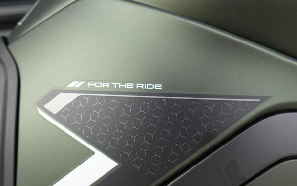2025 Triumph Tiger 900 Rally Pro