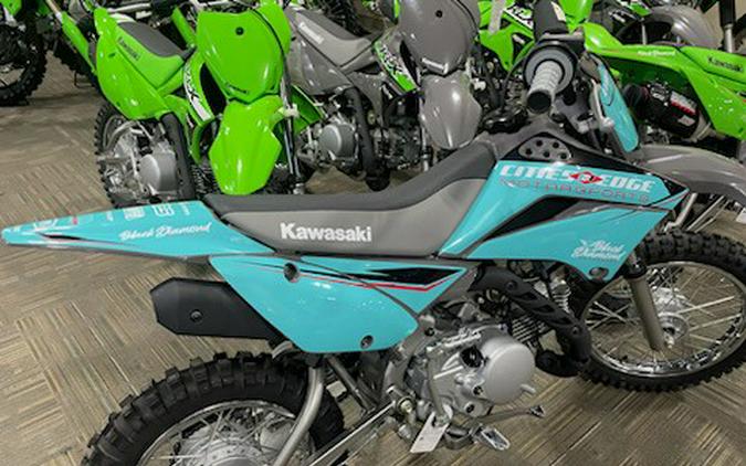 2024 Kawasaki KLX 110R