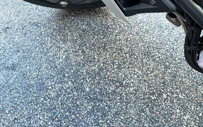 2024 Ducati SCRAMBLER ICON 800