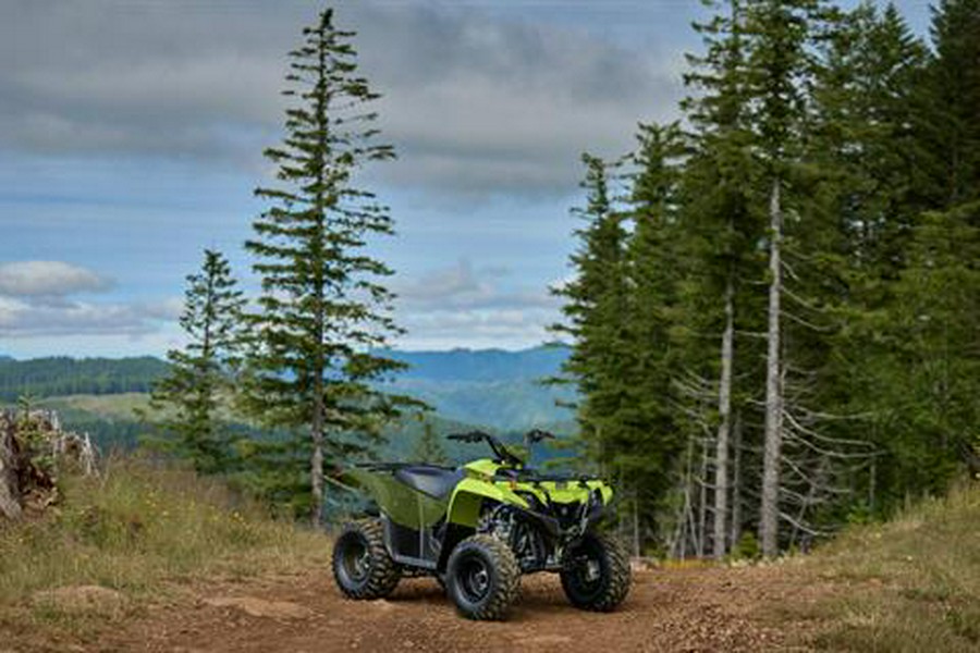 2027 Yamaha Grizzly 110