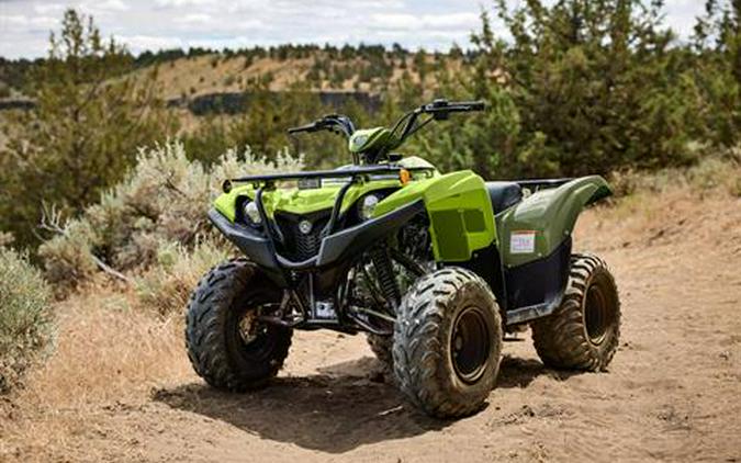 2027 Yamaha Grizzly 110