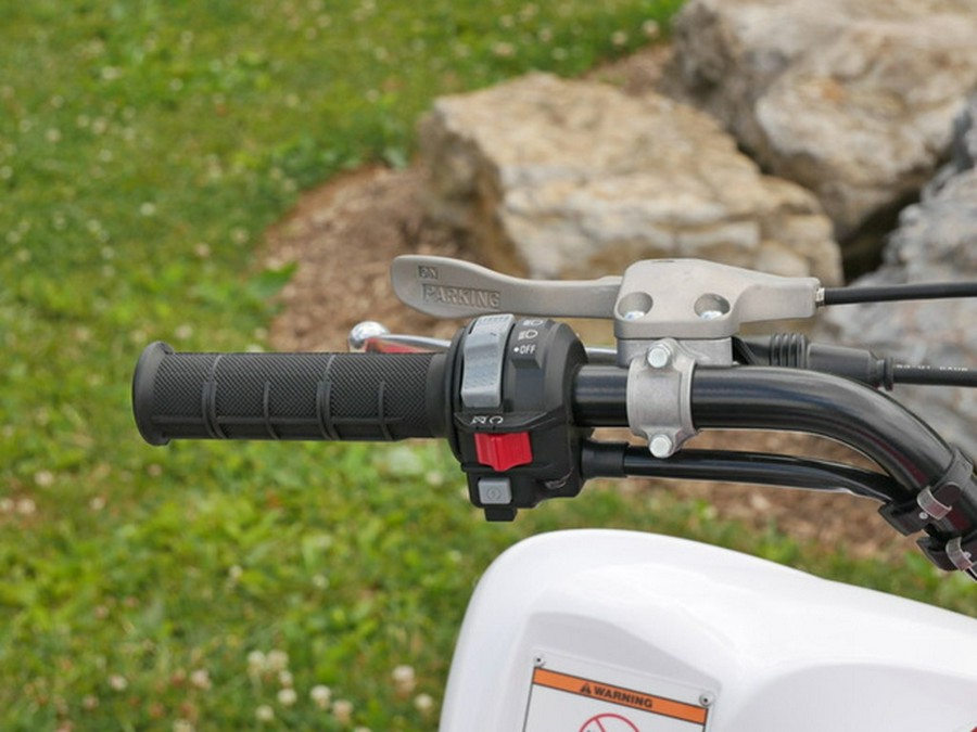 2026 Yamaha Raptor 700R SE