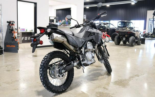 2024 Kawasaki KLX 300