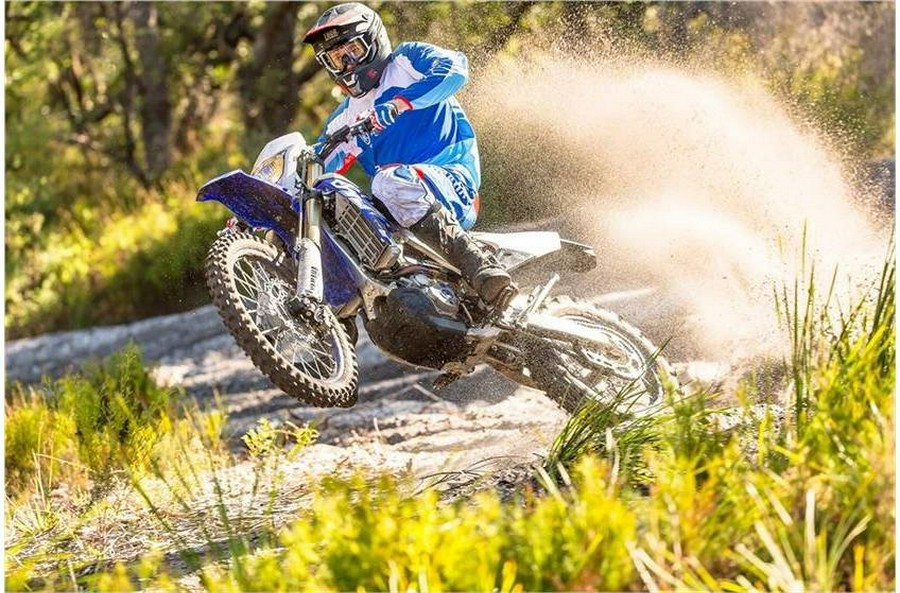 2019 Yamaha WR250F