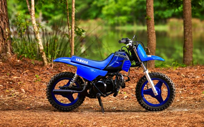 2024 Yamaha PW 50