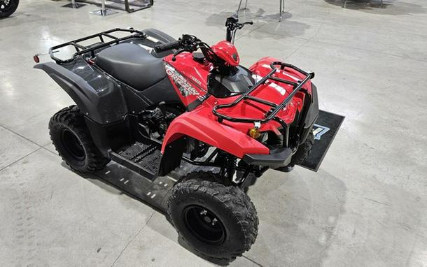 2025 Yamaha Grizzly 110