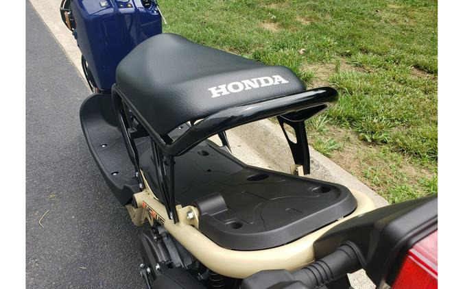 2023 Honda RUCKUS