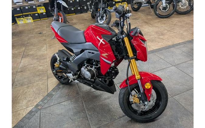 2023 Kawasaki Z125