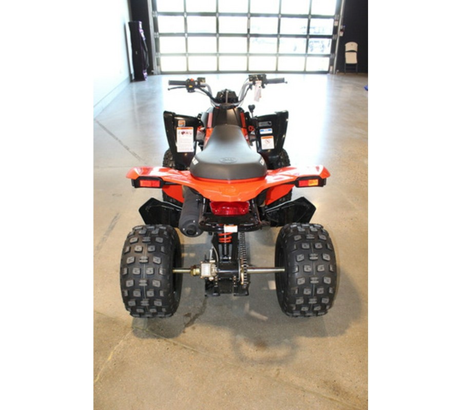 2026 Can-Am DS 250