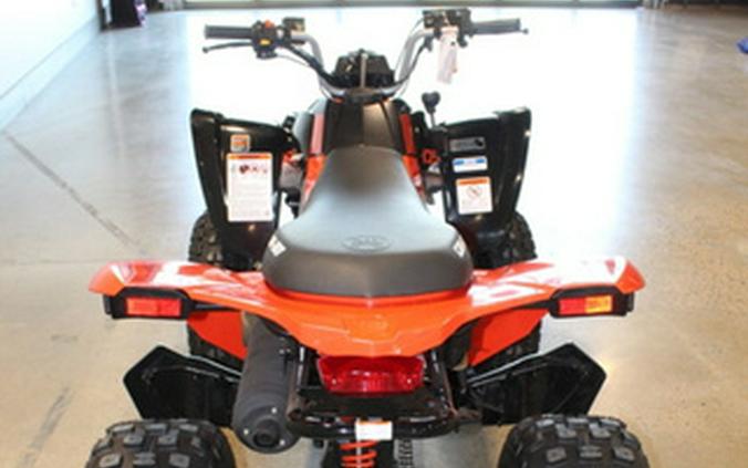 2026 Can-Am DS 250