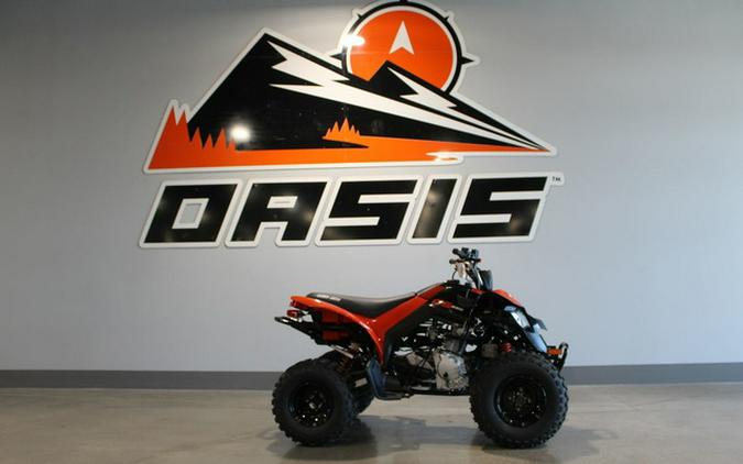 2026 Can-Am DS 250