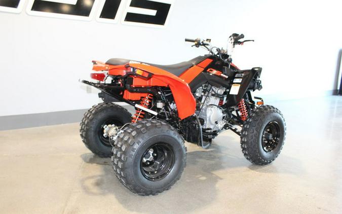 2026 Can-Am DS 250