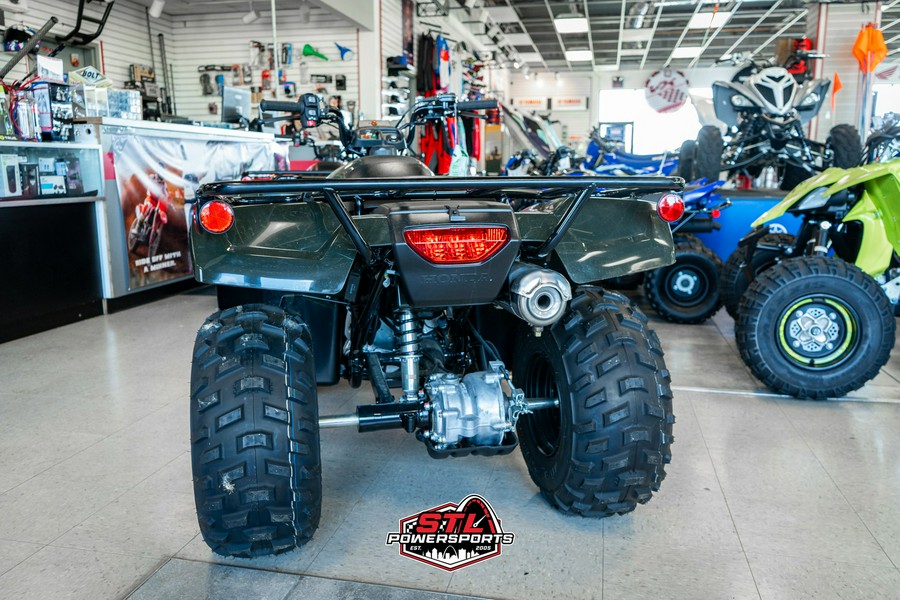 2025 Honda FourTrax Recon® ES