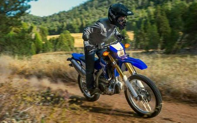 2018 Yamaha WR250R