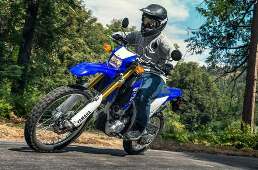 2018 Yamaha WR250R