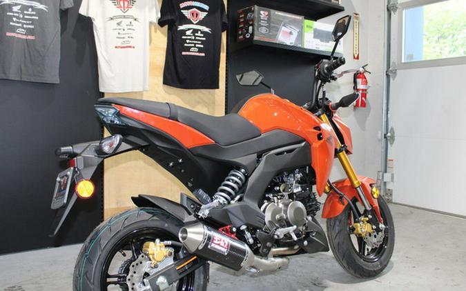 2025 Kawasaki Z125 PRO