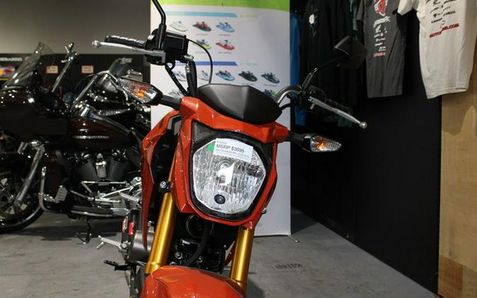 2025 Kawasaki Z125 PRO