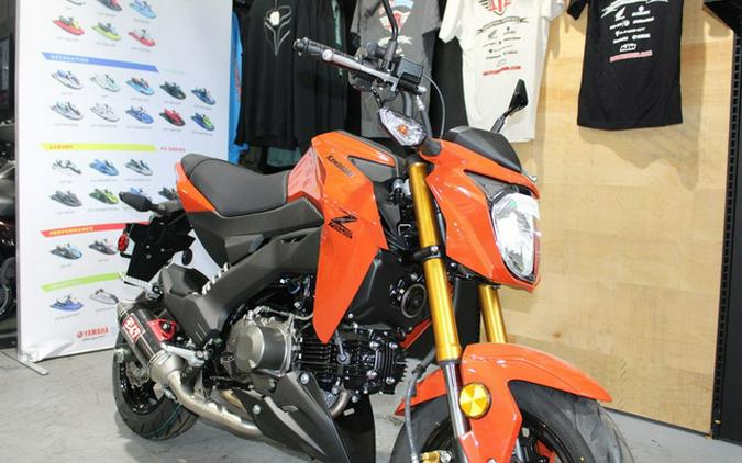 2025 Kawasaki Z125 PRO