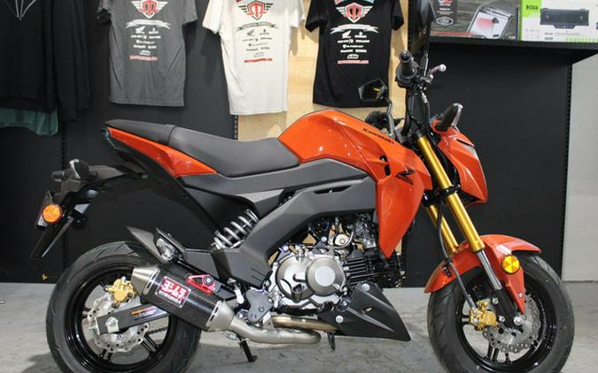 2025 Kawasaki Z125 PRO