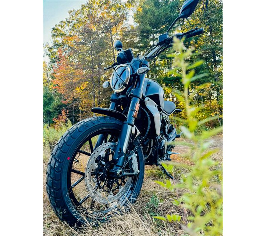 2024 Ducati Scrambler Icon