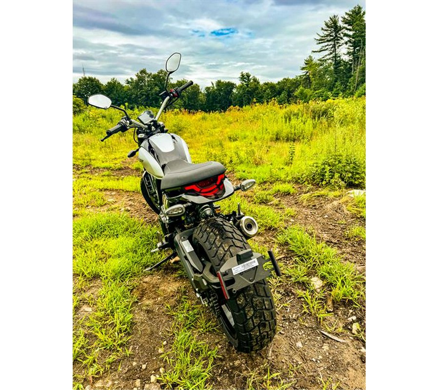 2024 Ducati Scrambler Icon