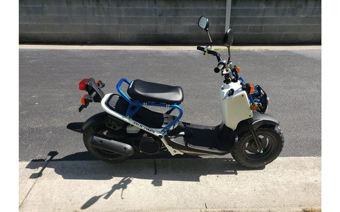 2023 Honda RUCKUS