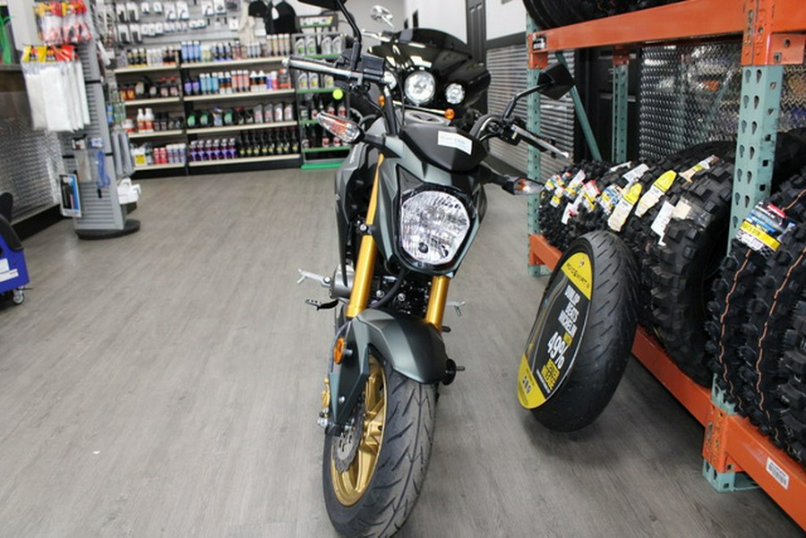 2025 Kawasaki Z125 PRO