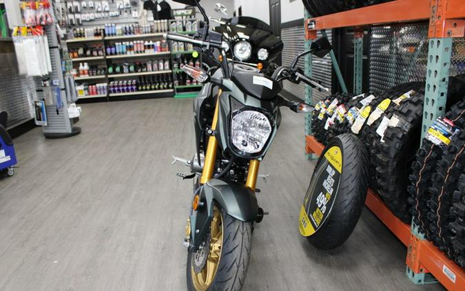 2025 Kawasaki Z125 PRO