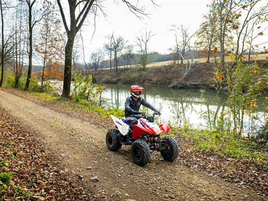 2026 Honda TRX250X