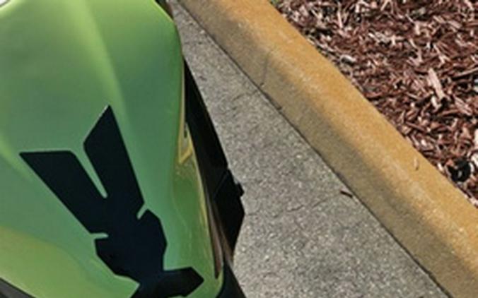 2026 Kawasaki Ninja 500 ABS Metallic Yellowish GreenEbony