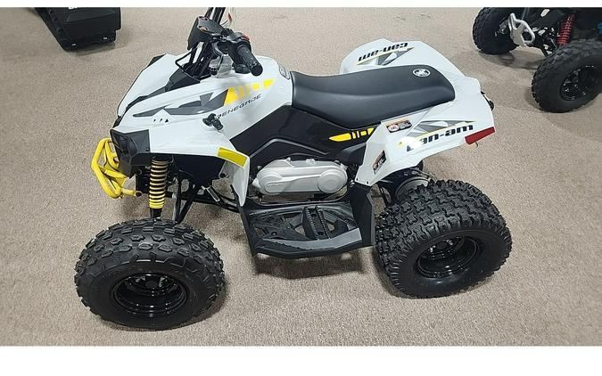 2026 Can-Am Can Am Renegade 110