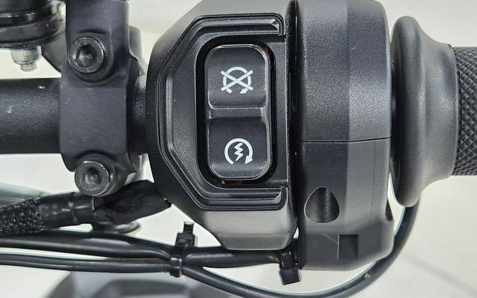 2020 Indian Motorcycle® N20RTT22A9