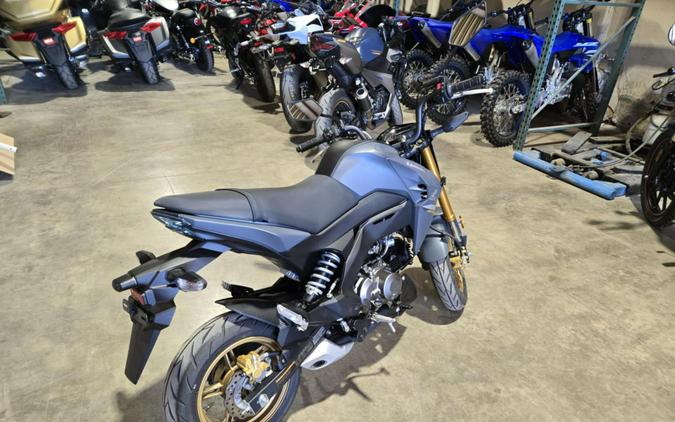 2024 Kawasaki Z125 Pro
