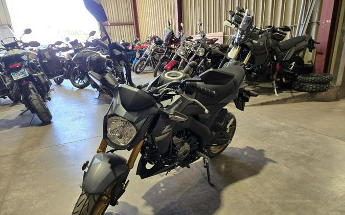 2024 Kawasaki Z125 Pro