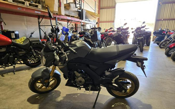 2024 Kawasaki Z125 Pro