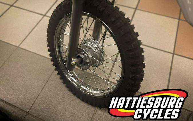 2026 Kawasaki KLX® 110R