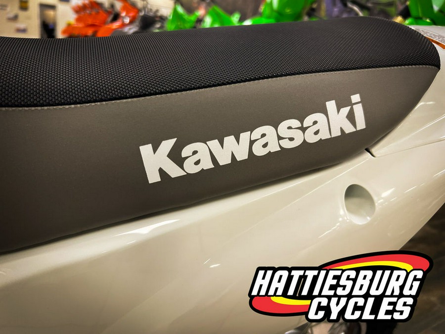 2026 Kawasaki KLX® 110R