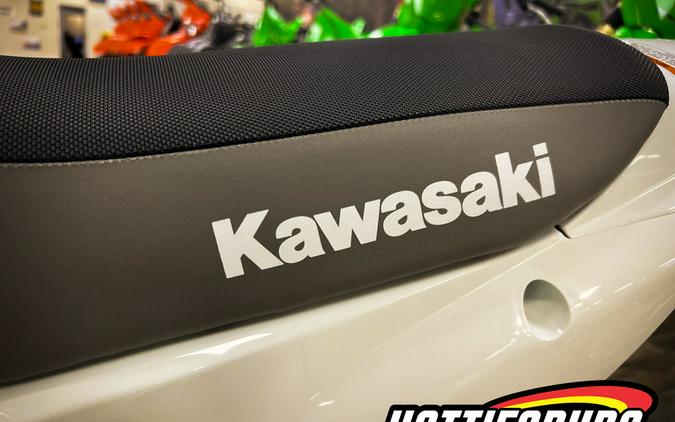 2026 Kawasaki KLX® 110R