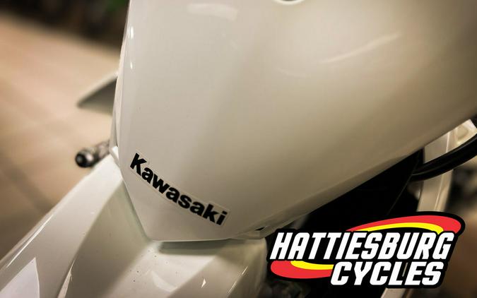 2026 Kawasaki KLX® 110R