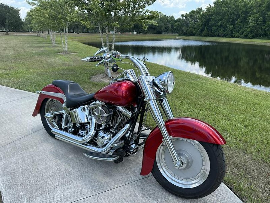 2003 Harley-Davidson® FLSTFI