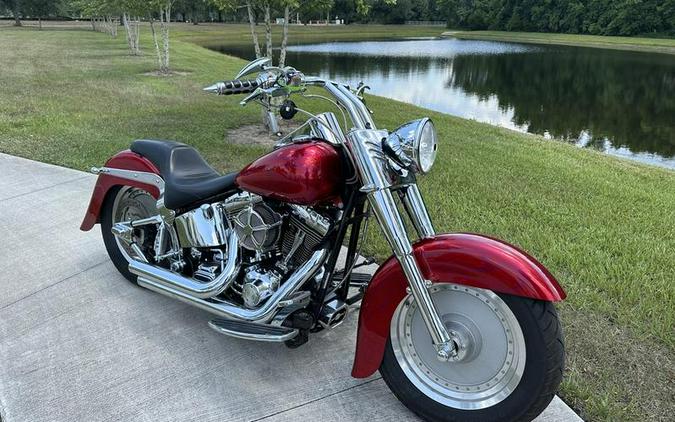 2003 Harley-Davidson® FLSTFI