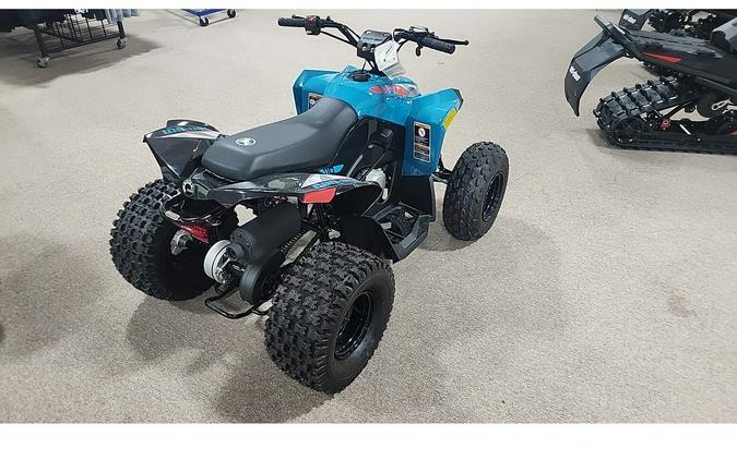2026 Can-Am Can Am Renegade 110