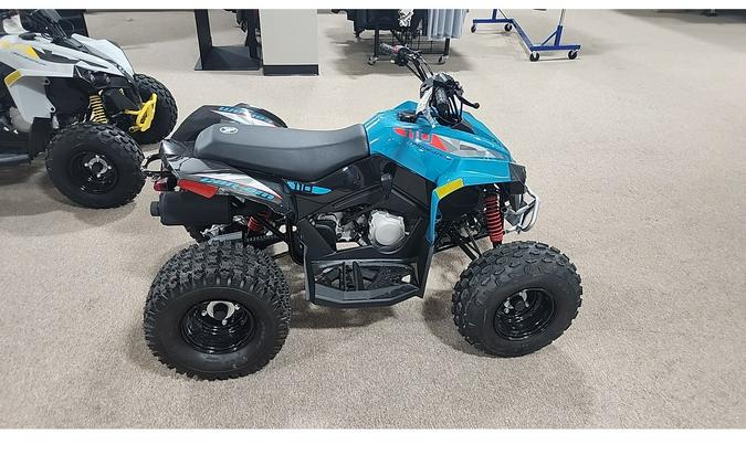 2026 Can-Am Can Am Renegade 110