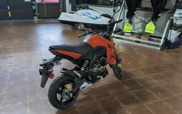 2025 Kawasaki Z125 PRO